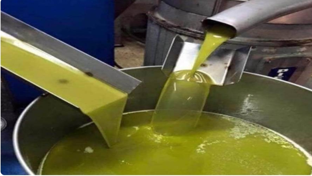 اتحاد المزارعين: السعر المنطقي لتنكة زيت الزيتون من أعلى جودة بـ120 دينارا