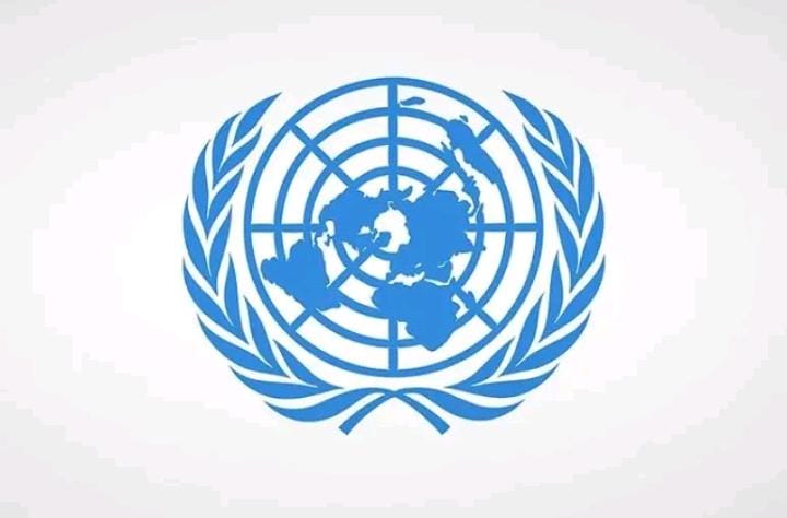 الأمم المتحدة تعين مبعوثا ”فلسطينيا” للافراج عن موظفيها المختطفين لدى الحوثي