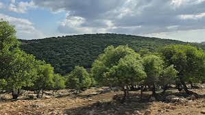 422 مستفيدا من الإقراض الزراعي في عجلون