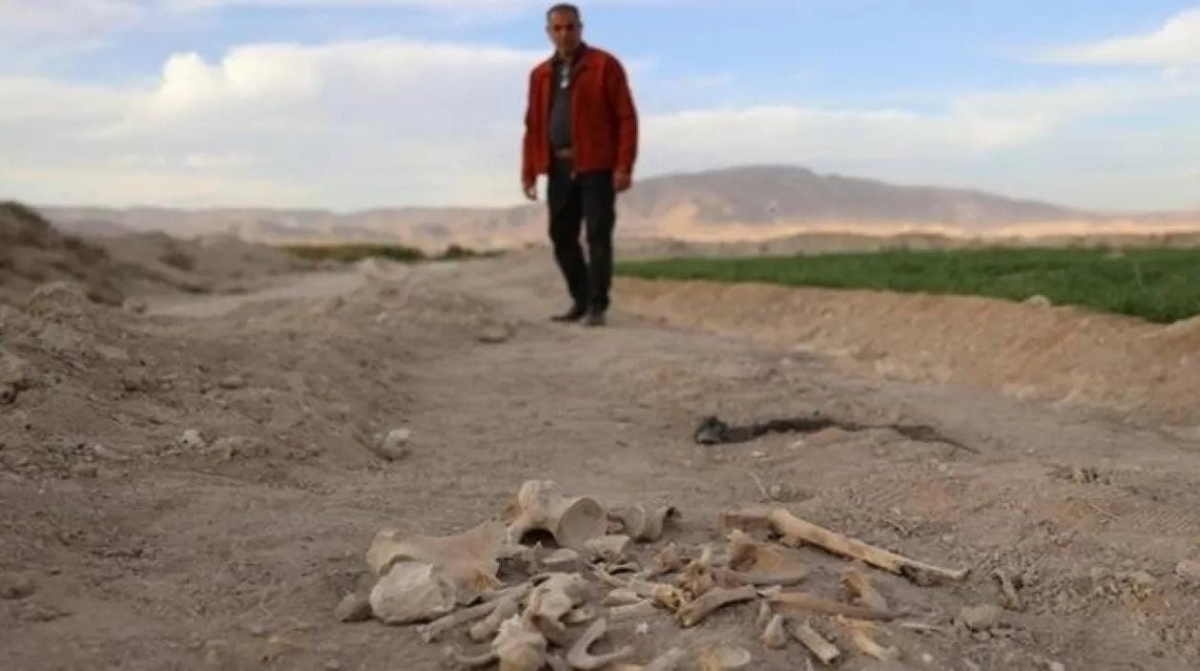 سوريا: العثور على مقبرة جماعية بحي السحاري في درعا