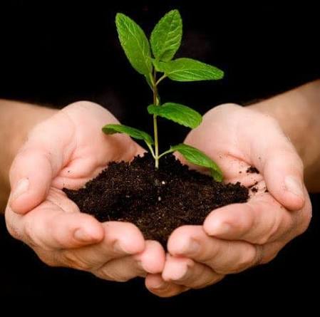 ليث الدويكات.. يزرع رسالة الخير من قلب دابوق ويعيد إحياء ثقافة الزراعة في الأردن