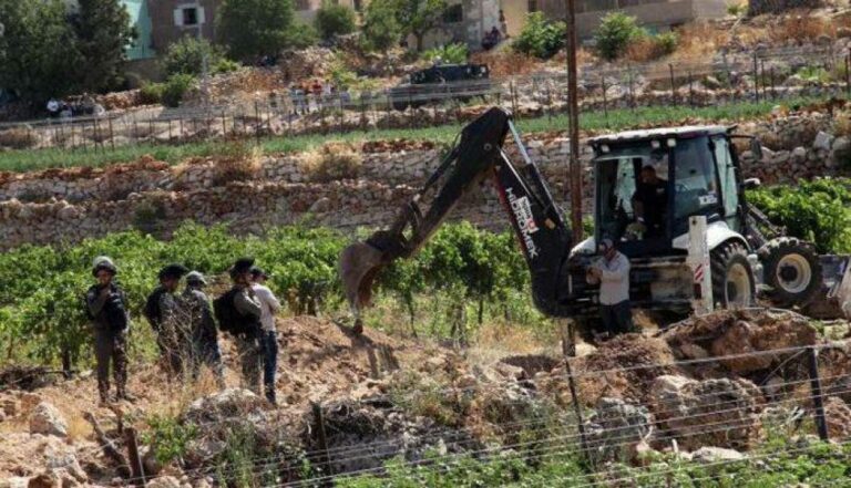 سلطات الاحتلال تصدر قرارا باقتلاع أشجار في رام الله لأغراض عسكرية