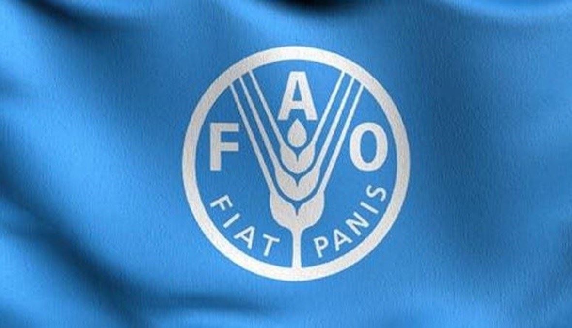 الفاو تحذر من كارثة إنسانية وزراعية غير مسبوقة في قطاع غزة