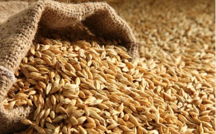 الأردن يشتري 60 ألف طن من علف الشعير في مناقصة