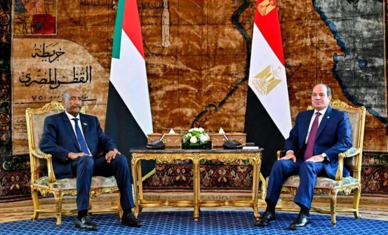 تشديد مصري – روسي على رفض أي كيانات موازية في السودان