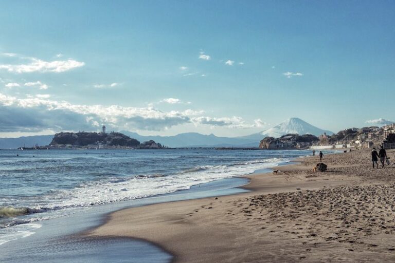 زلزال بقوة 5.6 درجات يضرب قبالة سواحل اليابان