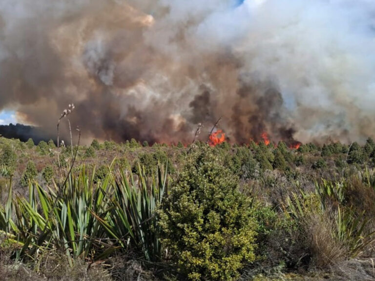 السلطات النيوزيلندية تكافح للسيطرة على حريق غابات ضخم