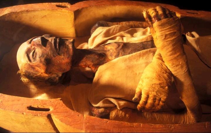 القبض على شاب تلا آيات من القرآن داخل المتحف المصري الكبير تحكي قصة فرعون