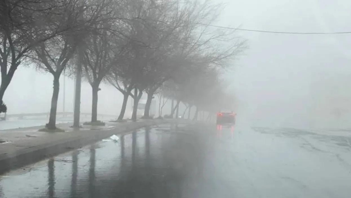 القرالة: الهطولات المطرية ستعم أغلب مناطق الشريط الغربي من الأردن