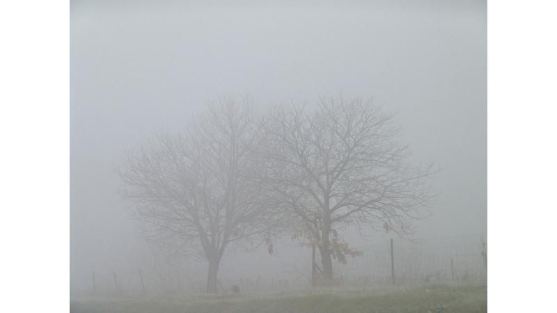 الضباب يلف مناطق واسعة في المملكة والأمن يحذر