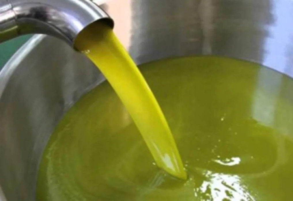 استقرار سعر تنكة الزيت في سورية عند 70 دينارًا أردنيًا