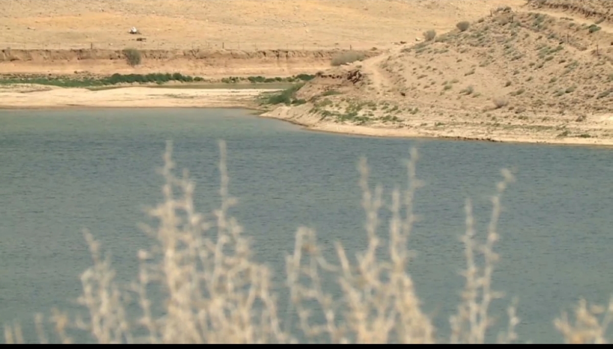 أمطار المنخفض تعيد الحياة للسدود