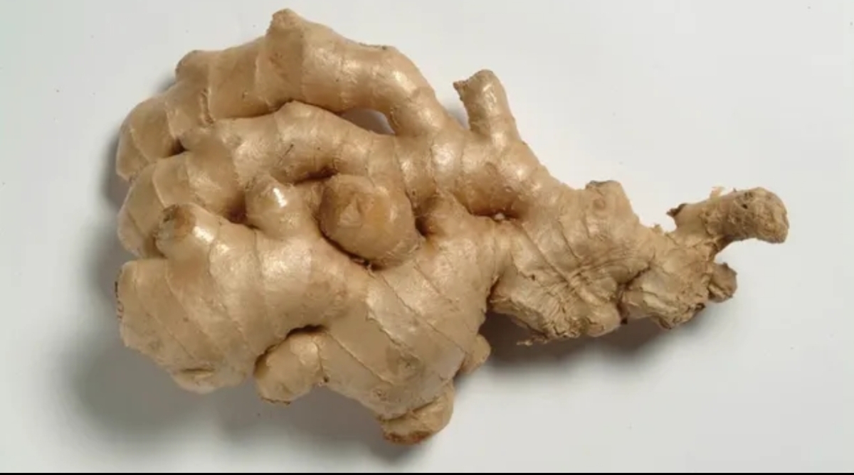 هل يعالج الزنجبيل اضطرابات المعدة فعلا؟