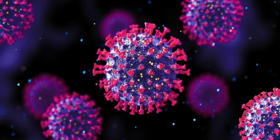 استشاري أمراض معدية يطلب من الأردنيين التوجه لأخذ مطعوم الإنفلونزا الموسمي