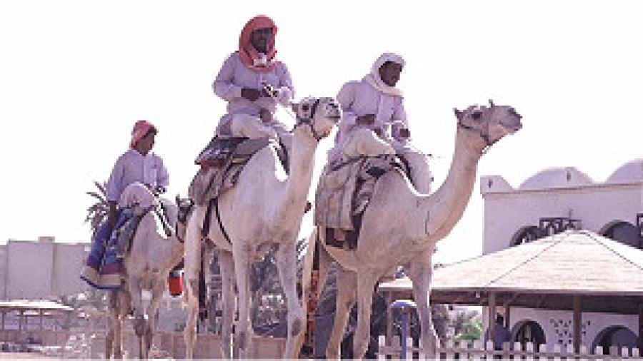 قبيلتان بدويتان تهزان إسرائيل .. ما علاقة مصر؟