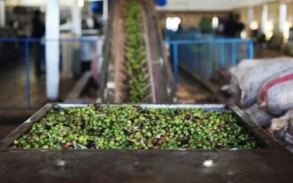 لضمان حق المزارع والمستهلك… المواصفات تشن جولات على معاصر الزيتون