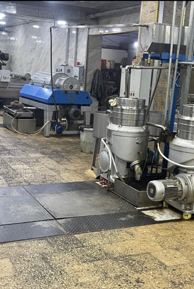 الزيتون بركةٌ خالدة وثروةٌ وطنية توحّد الإنسان بالأرض والمستقبل