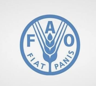 اختتام ورشة التكيف مع تغير المناخ في مادبا