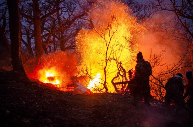 حريق يلتهم غابات إيرانية مدرجة على قائمة التراث العالمي لليونسكو