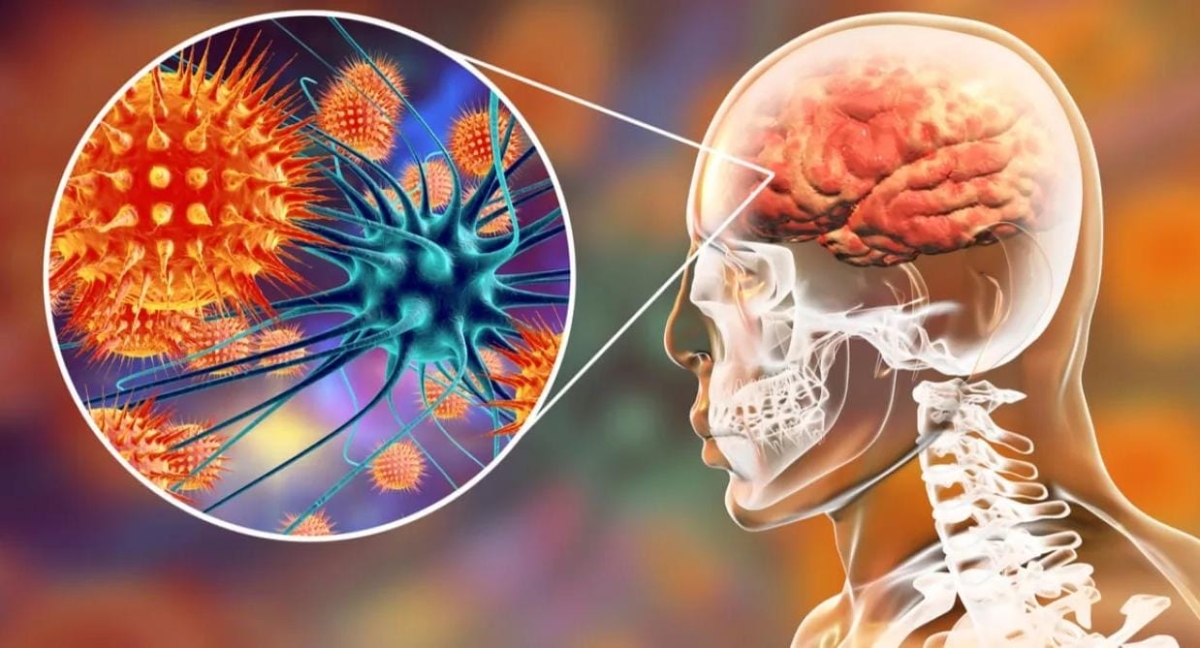 وفاة طالب في الطفيلة بسبب السحايا غير الوبائي.. وفحوصات جميع المخالطين تؤكد سلامتهم