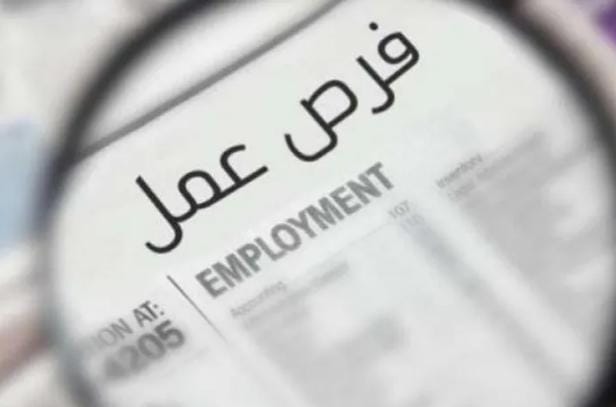طرح وظائف حكومية جديدة وإتاحة التقديم اعتبارًا من اليوم الاثنين