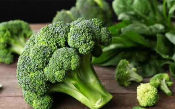 البروكلي يقوي الدماغ ويقلل خطر الزهايمر.. فوائد وممارسات غذائية