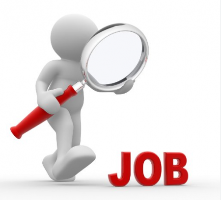 مدعوون لاستكمال إجراءات التعيين في الحكومة  أسماء