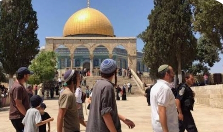 مستوطنون يقتحمون الأقصى والاحتلال يهدم منشآت تجارية بالقدس والخليل