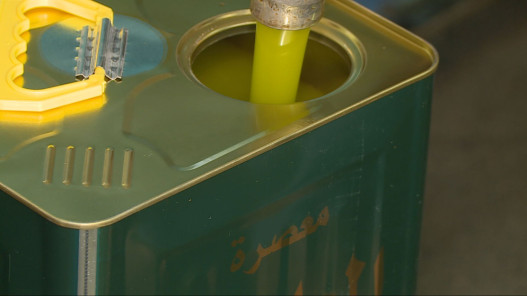 الزراعة: خلو مهرجان الزيتون من حالات الغش ونتائج فحصه 91 منه بكر ممتاز