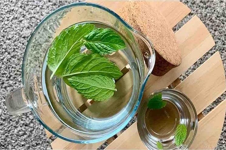 اختصاصي عقاقير طبية يعدد فوائد النعناع واستخداماته العلاجية.. تعرّف عليها