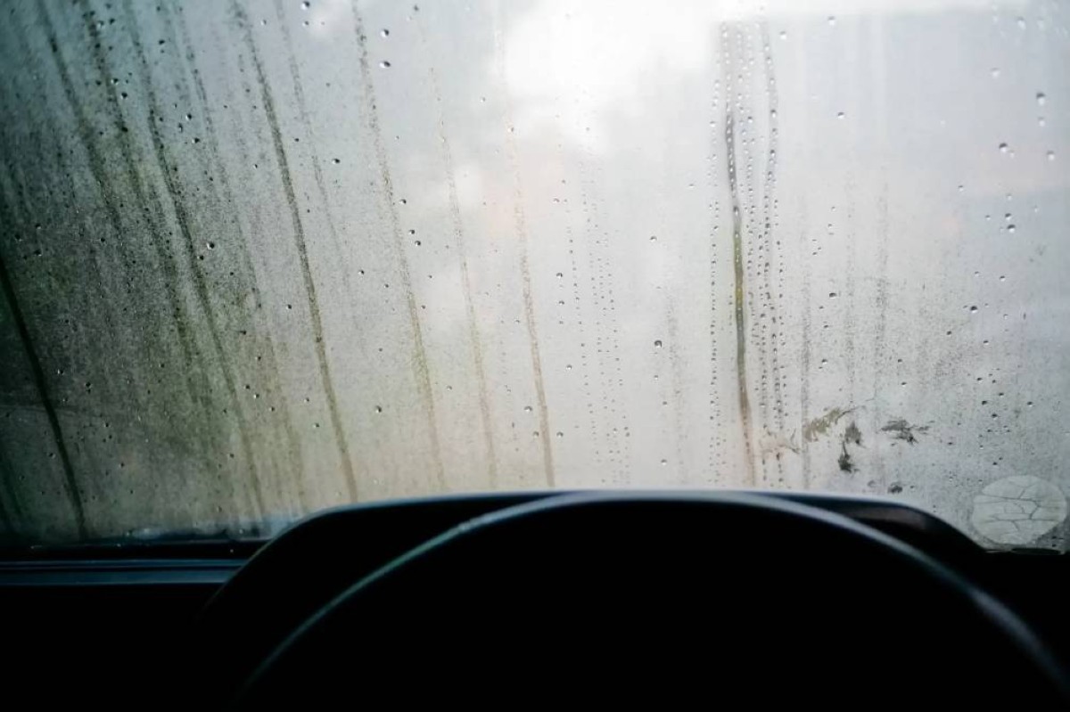 خمس طرق سريعة لإزالة الضباب عن زجاج السيارة الأمامي... تعرف عليها