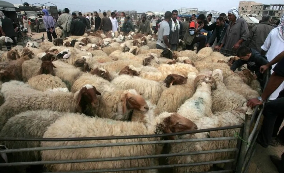 وفاة رجل داخل سوق الحلال في مأدبا وسط الازدحام الخانق