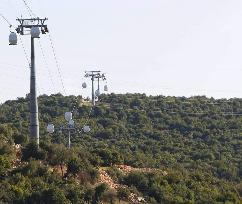 توسع بمشروعات التحريج لتعزيز الاستدامة البيئية في عجلون