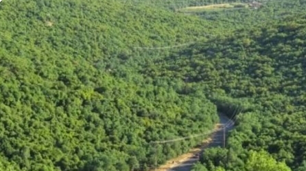 الزراعة العضوية في عجلون تشكل مدخلا لتحقيق الأمن الغذائي وتحسين دخل المزارعين