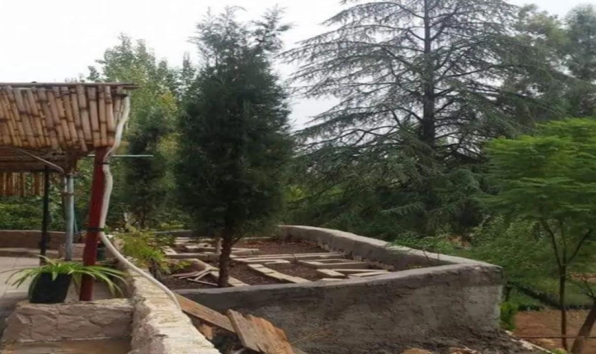 الزراعة تحول مشتل عين جملا الحرجي لإنتاج أشتال الزينة بدلا من الأشتال الحرجية