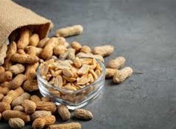 الفول السوداني.. غذاء شتوي مثالي يعزّز المناعة والطاقة ويحمي البشرة