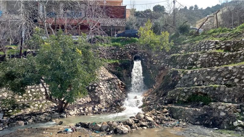 أمطار الخير في عجلون تعزز المزروعات الحقلية والموسمية