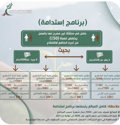معنيون : استدامة الضمان ركيزة أساسية للاستقرار الاقتصادي والاجتماعي