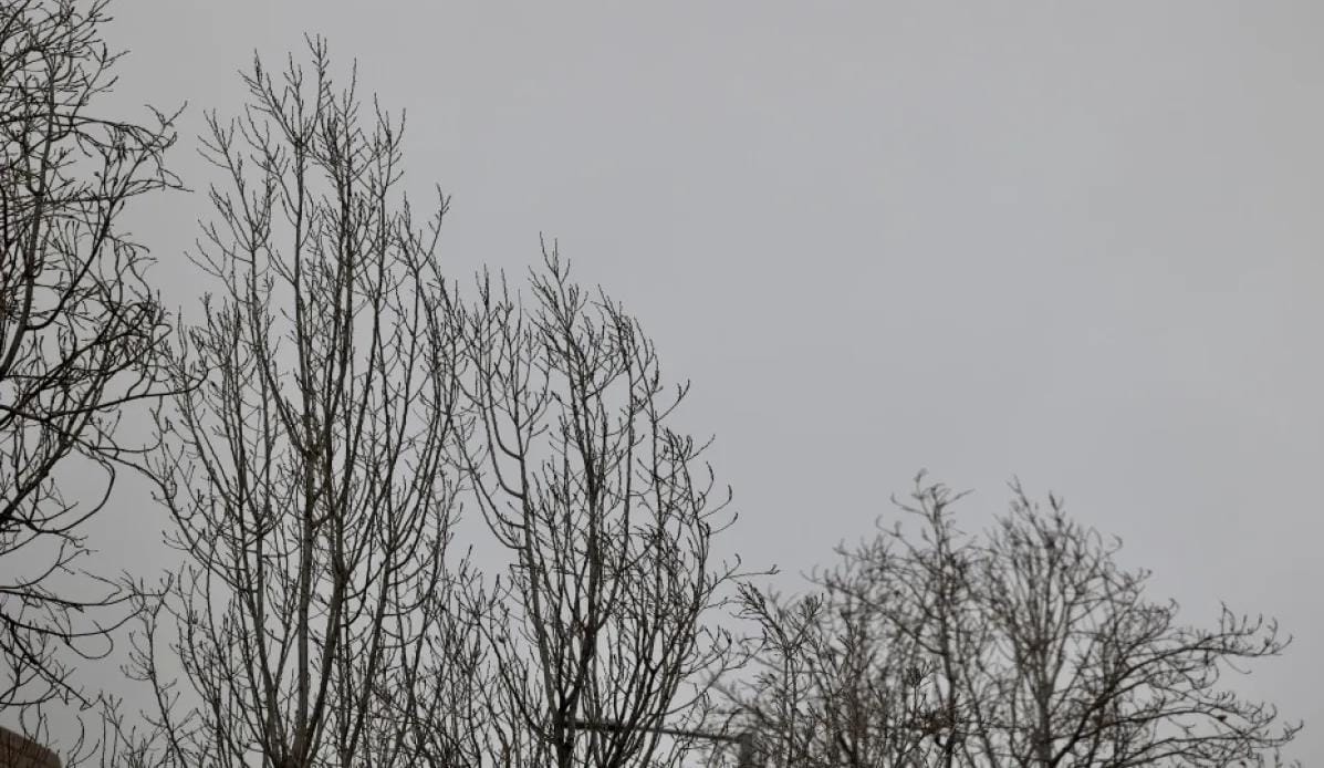 زخات مطرية ممزوجة بالثلوج فوق الجبال الجنوبية العالية فجر الأربعاء