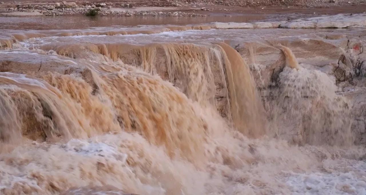 وزارة الزراعة: الهطل المطري بالأردن مبشّر حتى الآن مقارنة بالموسم الماضي