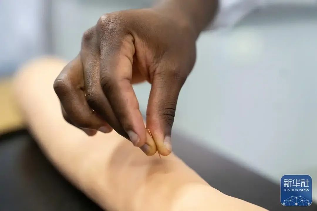 جامعة هونان للطب الصيني التقليدي تعد سفراء دوليين للطب الصيني التقليدي