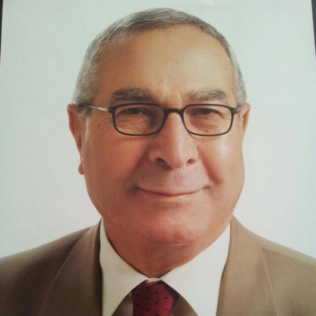 المدادحه يكتب  الدين العام بين الفرصة والخطر: مقارنة الأردن بالدول المتقدمة والدول النامية