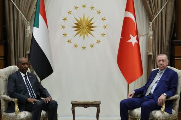 أردوغان يبحث مع رئيس مجلس السيادة السوداني تعزيز التعاون واستقرار السودان