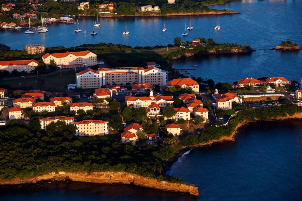 جامعة سانت جورج تكشف عن أهمية جراحة التجميل والطريق إلى التخصص فيها