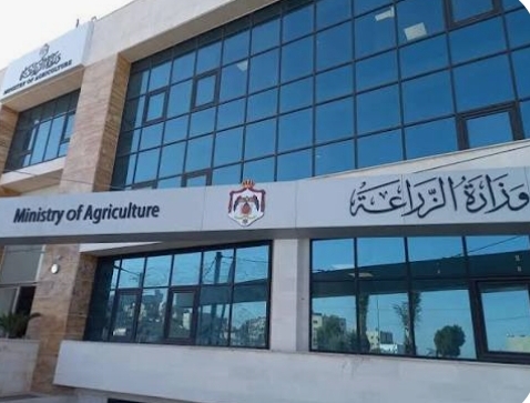 إرشادات لحماية الثروة الزراعية أثناء المنخفضات الجوية