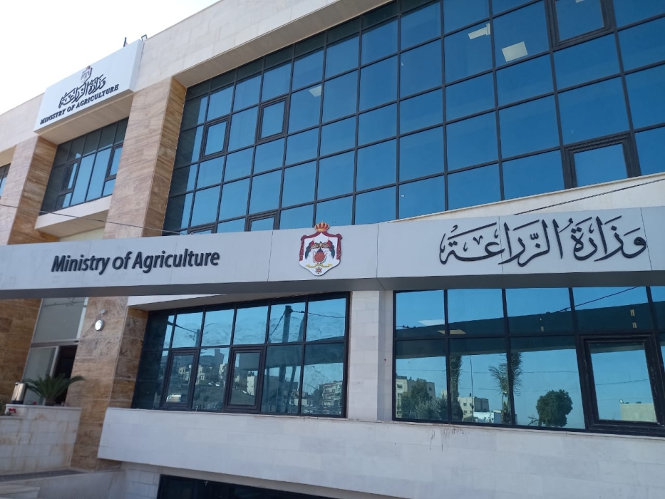 وزارة الزراعة تبدأ باستقبال طلبات استيراد زيت الزيتون اليوم