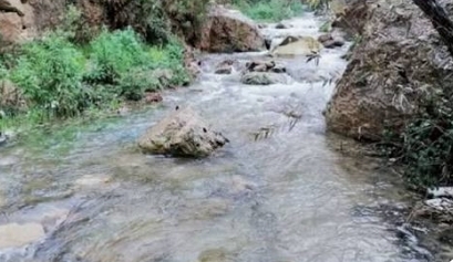 خبراء بيئة ومياه: أمطار الخير تعيد الحياة للينابيع وتعزّز التوازن البيئي