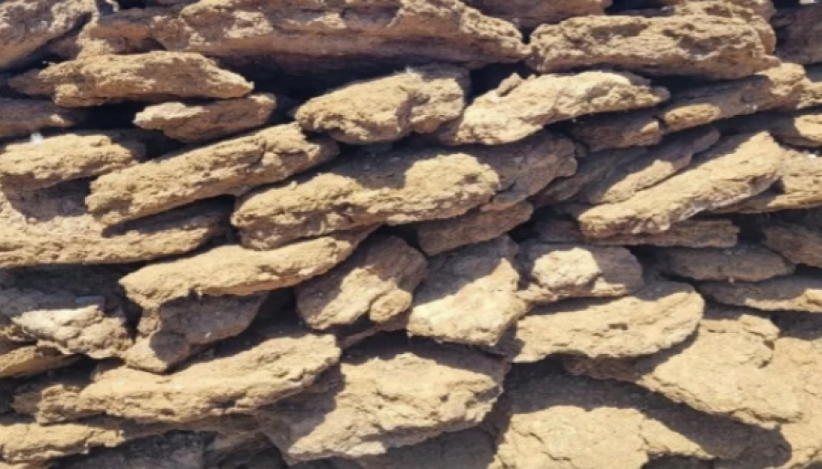 الكسح بديل الحطب في البادية .. ما هو؟
