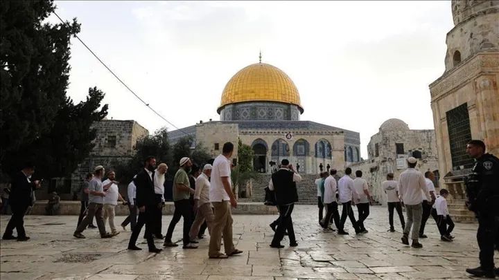 وزارة الأوقاف الفلسطينية: 27 اقتحاما للمسجد الأقصى خلال الشهر الماضي