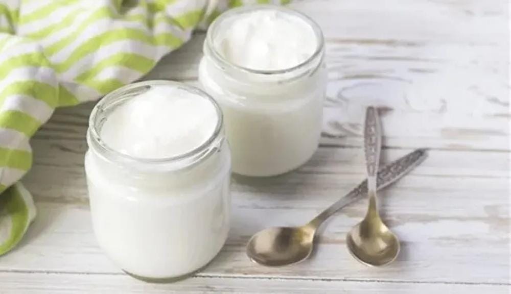 دراسة هولندية.. الأطعمة المخمرة تعزز صحة الجهاز الهضمي وتوازن البكتيريا النافعة